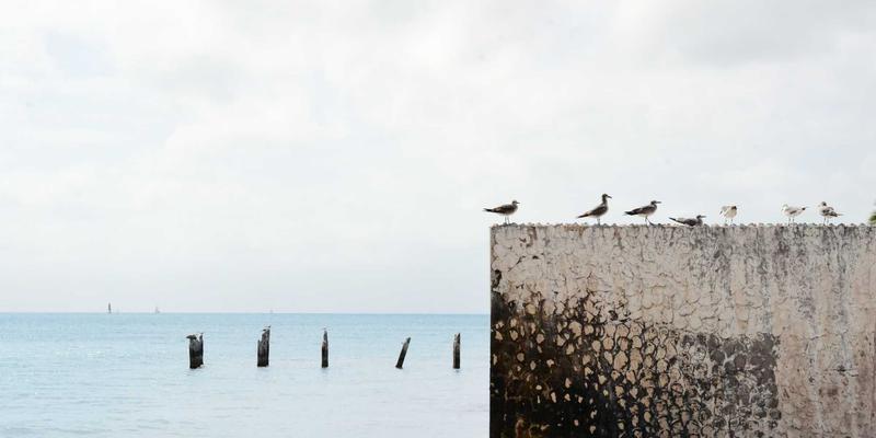 厦门汽车音响改装终极指南:从品牌甄选到调音秘籍,打造专属移动音乐厅