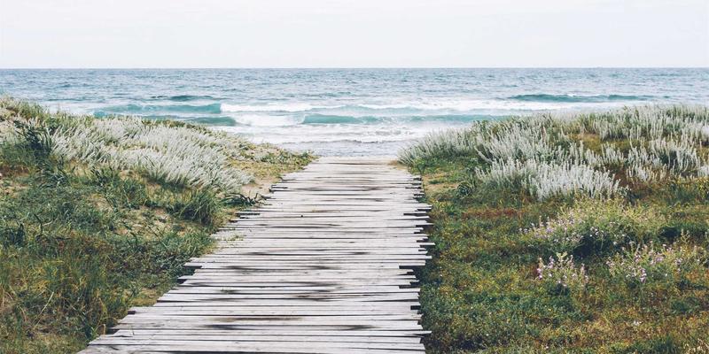 厦门租车攻略:从车型评测到服务甄选,一篇读懂如何避坑选对