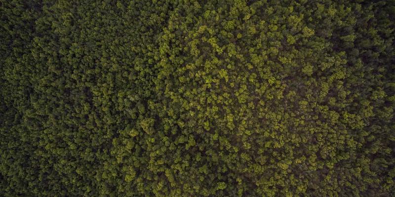 厦门自驾全攻略:解锁环岛路与山海秘境,附车辆准备与本地车行指南