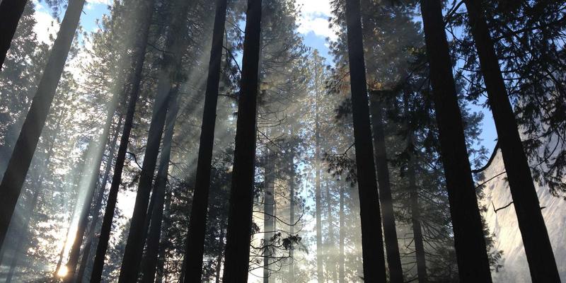 厦门车主必看：2024年汽车保险最全攻略！手把手教你省钱避坑