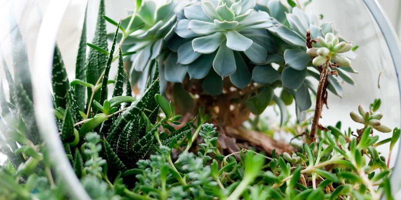 鹭岛引擎的律动：深度解读厦门汽车改装文化与合法改装范围